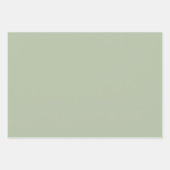 Licht Sage Groen Effen Kleur Inpakpapier Vel (Voorkant 2)