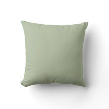 Licht Sage Groen Effen Kleur