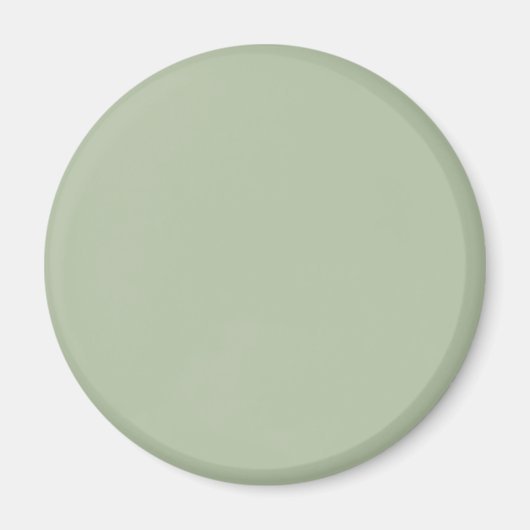 Licht Sage Groen Effen Kleur Magneet (Voorkant)