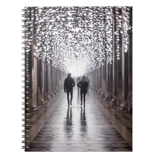 Licht, schaduwen en symmetrie - sepia notitieboek (Voorkant)