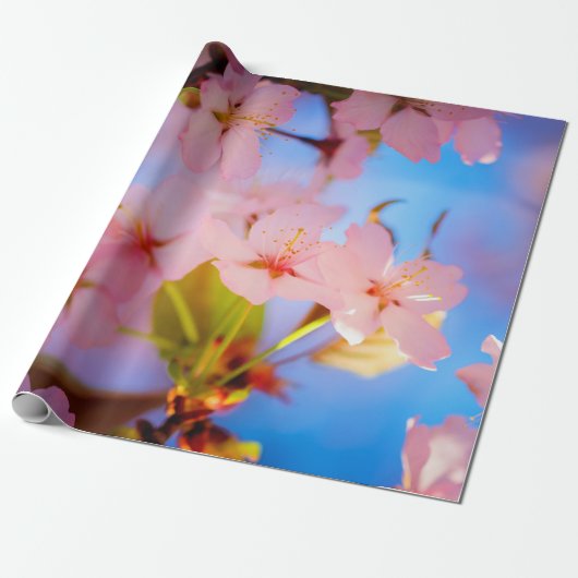 Licht spelen op Sakura Cadeaupapier (Uitgerold)