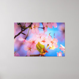 Licht spelen op Sakura Canvas Afdruk
