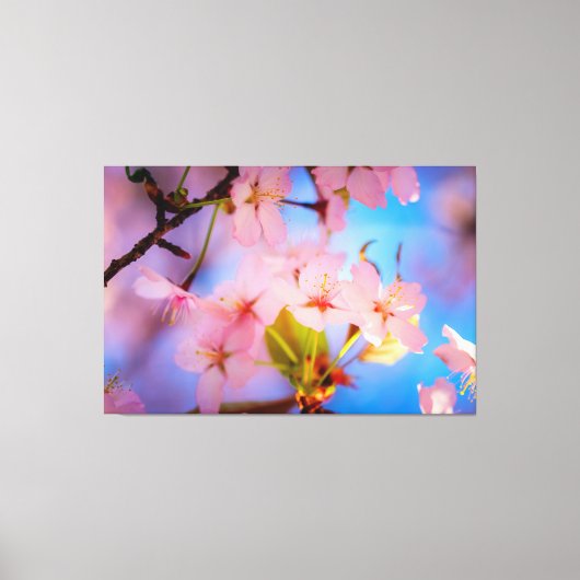 Licht spelen op Sakura Canvas Afdruk (Voorkant)