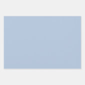 Licht staal Blauw Solid Color Inpakpapier Vel (Voorkant)