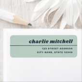 Licht stoffig zee groen retro het terugkeeradres v etiket (Insitu)