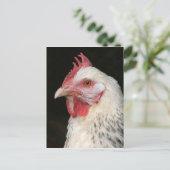 Licht sussex briefkaart (Staand voorkant)