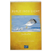 Lichtbarst Kalender (Hoes)