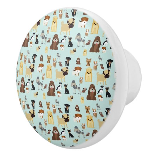 lichtblauw achtergrondpatroon. keramische knop (Rechts)