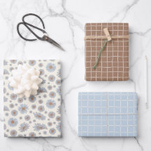 Lichtblauw en Zacht Bruin Daisy Gift Wrap Sheets