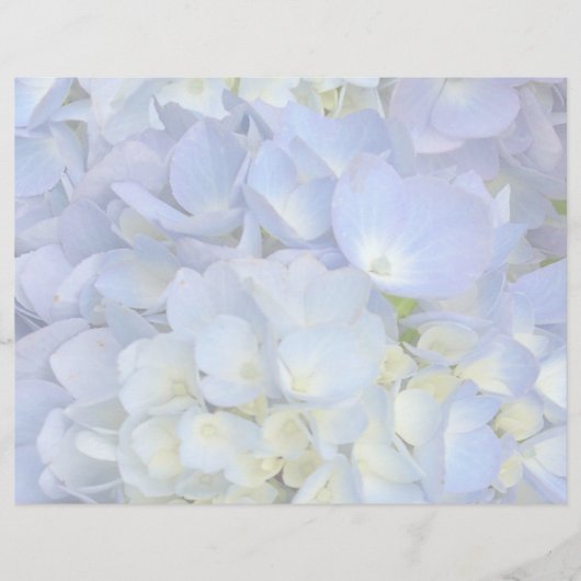 Lichtblauw Hydrangea Huwelijksprogramma Blanco Pap (Voorkant)