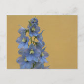 Lichtblauw Larkspur Briefkaart (Voorkant)