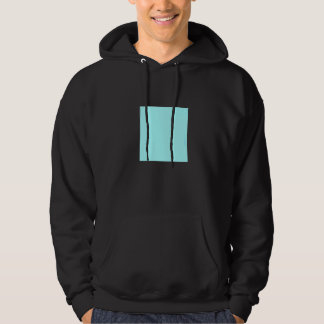 Lichtblauw Turquoise Effen Kleur Eenvoudige Kleur  Hoodie