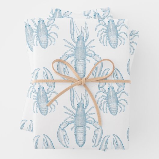 Lichtblauwe lijntekening van een kreeft inpakpapier vel (In situ)