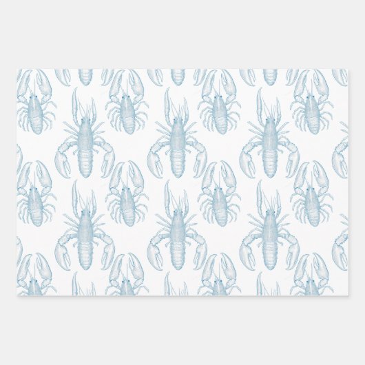 Lichtblauwe lijntekening van een kreeft inpakpapier vel (Voorkant)
