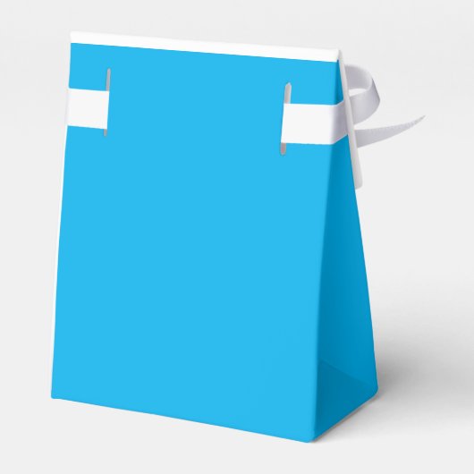 Lichtblauwe Ring op Afstudeerder Pet Afstuderen Bedankdoosjes (Achterkant)