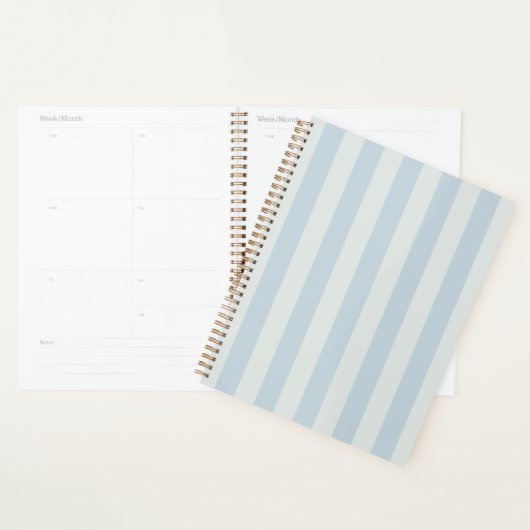 Lichtblauwe Strepen Planner (Display)