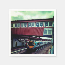 Lichtblauwe trein, onder de brug servet