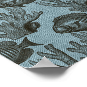 Lichtblauwe Vis Zee Mariene Koraal Aquarium Rustie Poster