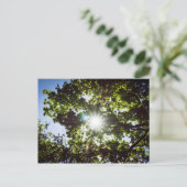 Lichtblick Briefkaart (Staand voorkant)