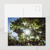 Lichtblick Briefkaart (Voorkant / Achterkant)