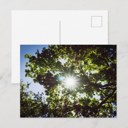 Lichtblick Briefkaart (Voorkant / Achterkant)