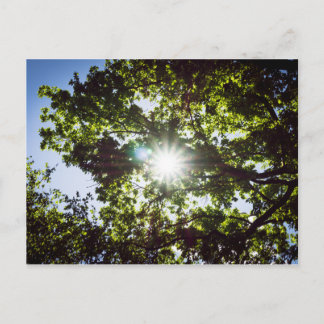 Lichtblick Briefkaart