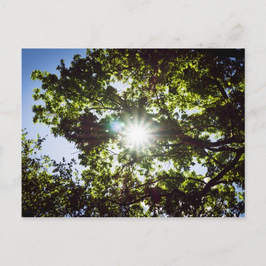 Lichtblick Briefkaart (Voorkant)