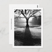 Lichtboom: Derwentwater, Cumbria Briefkaart (Voorkant / Achterkant)