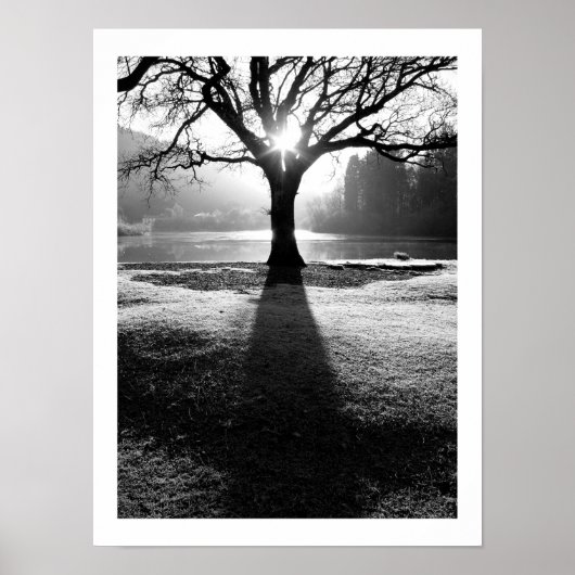 Lichtboom: Derwentwater, Cumbria Poster (Voorkant)