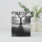 Lichtboom: Derwentwater, district Lake Briefkaart (Staand voorkant)