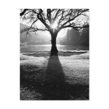 Lichtboom: Derwentwater, district Lake