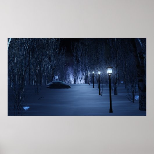 Lichtdruk van de pool poster (Voorkant)