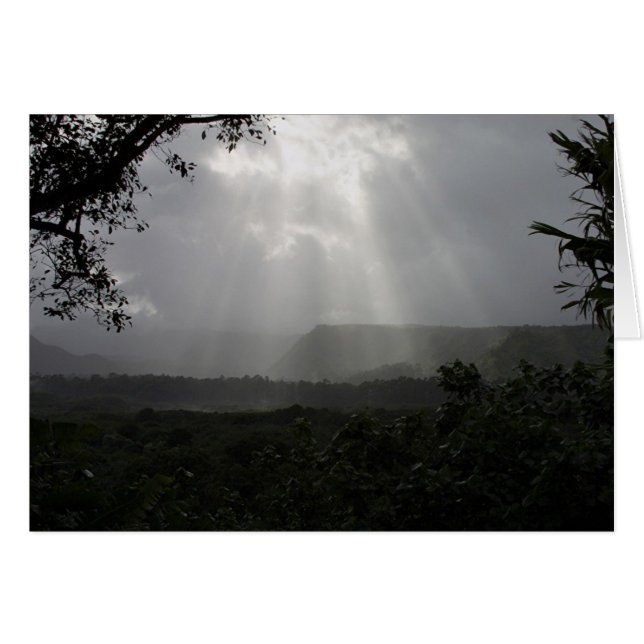 Lichte balken (Voorkant Horizontaal)