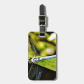 Lichte blauwe dragonvlieg bagagelabel (Voorkant verticaal)