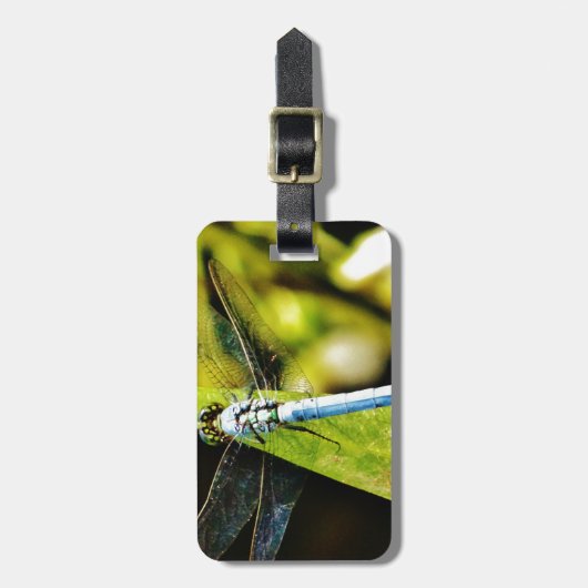 Lichte blauwe dragonvlieg bagagelabel (Voorkant verticaal)