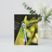 Lichte blauwe dragonvlieg briefkaart (Staand voorkant)