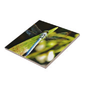 Lichte blauwe dragonvlieg tegeltje (Zijkant)