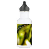 Lichte blauwe dragonvlieg waterfles  (Rechts)