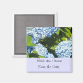 Lichte Blauwe Hortensia Save the Date Magneet (Voorkant / Achterkant)