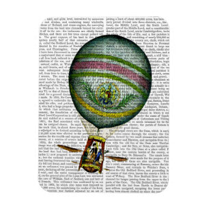 Lichte blauwe luchtballon magneet