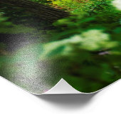 Lichte brandkranen in mijn Rubio Garden Foto Afdruk (Hoek)