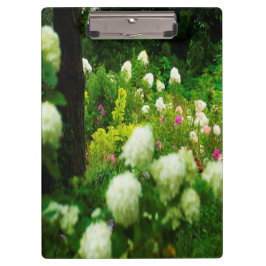 Lichte brandkranen in mijn Rubio Garden Klembord