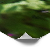 Lichte brandkranen in mijn Rubio Garden Poster (Hoek)