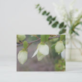 Lichte groene bloemen briefkaart (Staand voorkant)