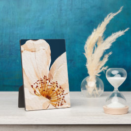Lichte Kleur Bloem Met Donkere Oceaan Achtergrond Fotoplaat