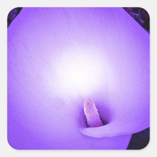 Lichte liefde, Lilie_ Vierkante Sticker (Voorkant)