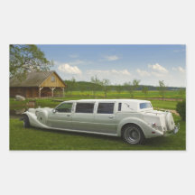 Lichte limousine in de weide