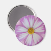 Lichte paarse bloem magneet (Voorkant / Achterkant)