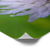 Lichte paarse bloem poster (Hoek)