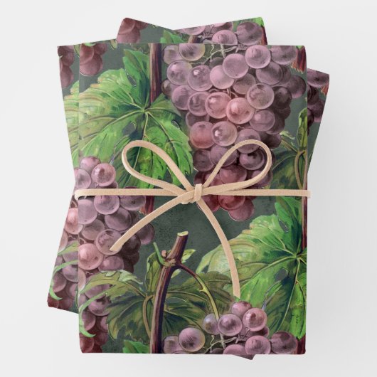  lichte Paarse druiven en wijnstokken op groen Inpakpapier Vel (In situ)